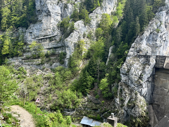 23-05-20 11-39-09 5484